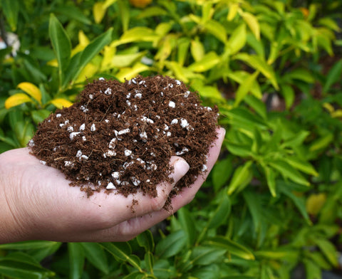 Happy Trees low-dust aroma improves handling during garden setup.