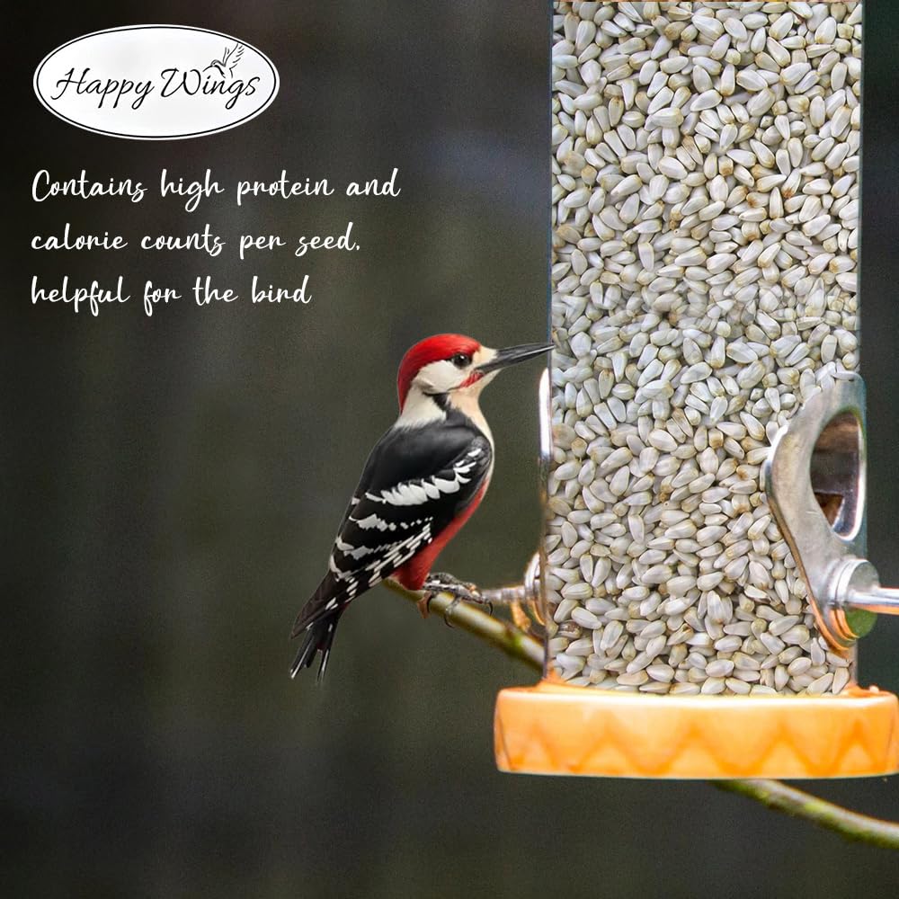 Happy Wings backyard feeding scene highlights non-germinating seeds for tidy yards