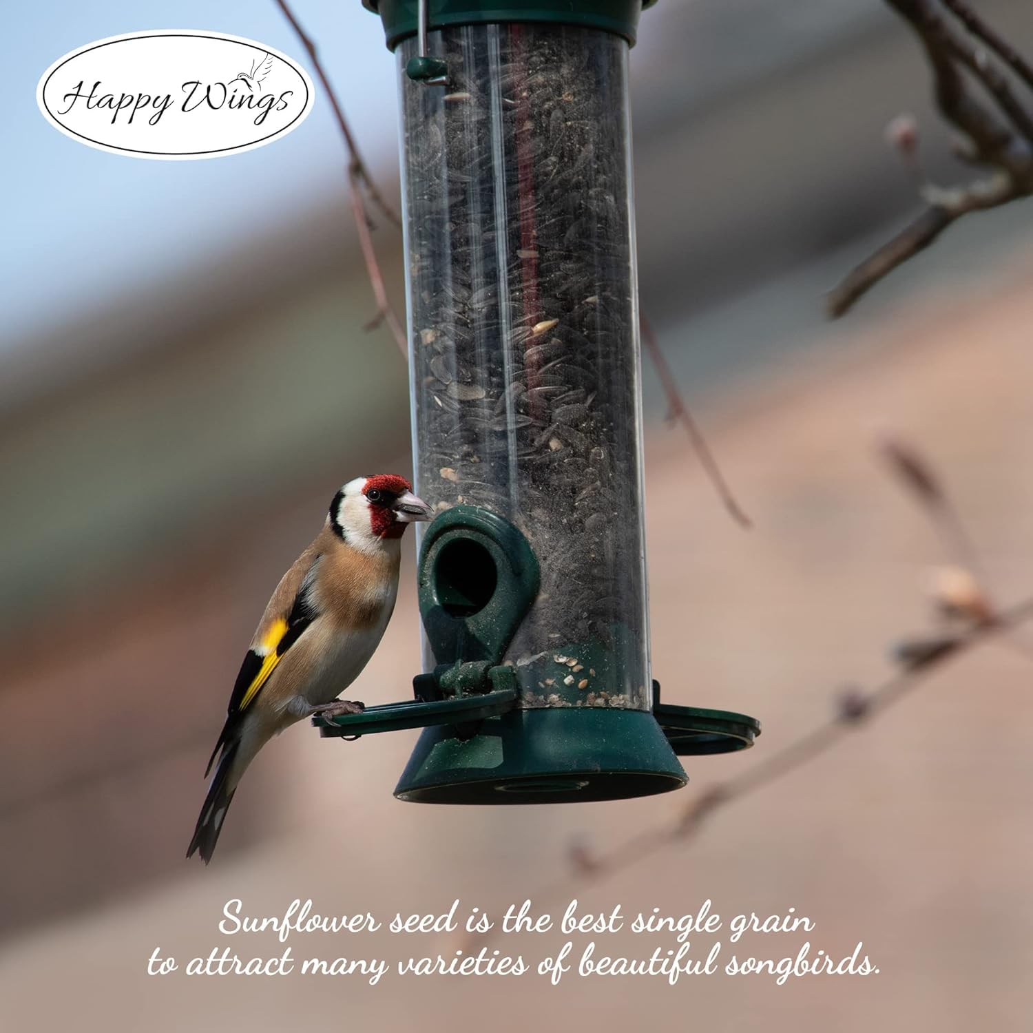 Happy Wings bulk seeds attract varied backyard birds during all seasons.