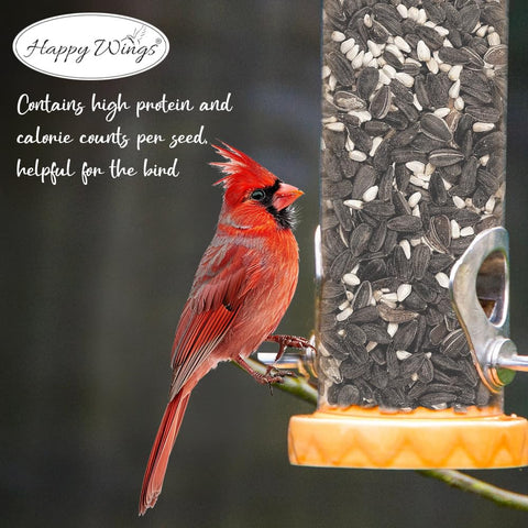 Happy Wings Cardinal Blend vacuum-packed seeds stay fresh and ready