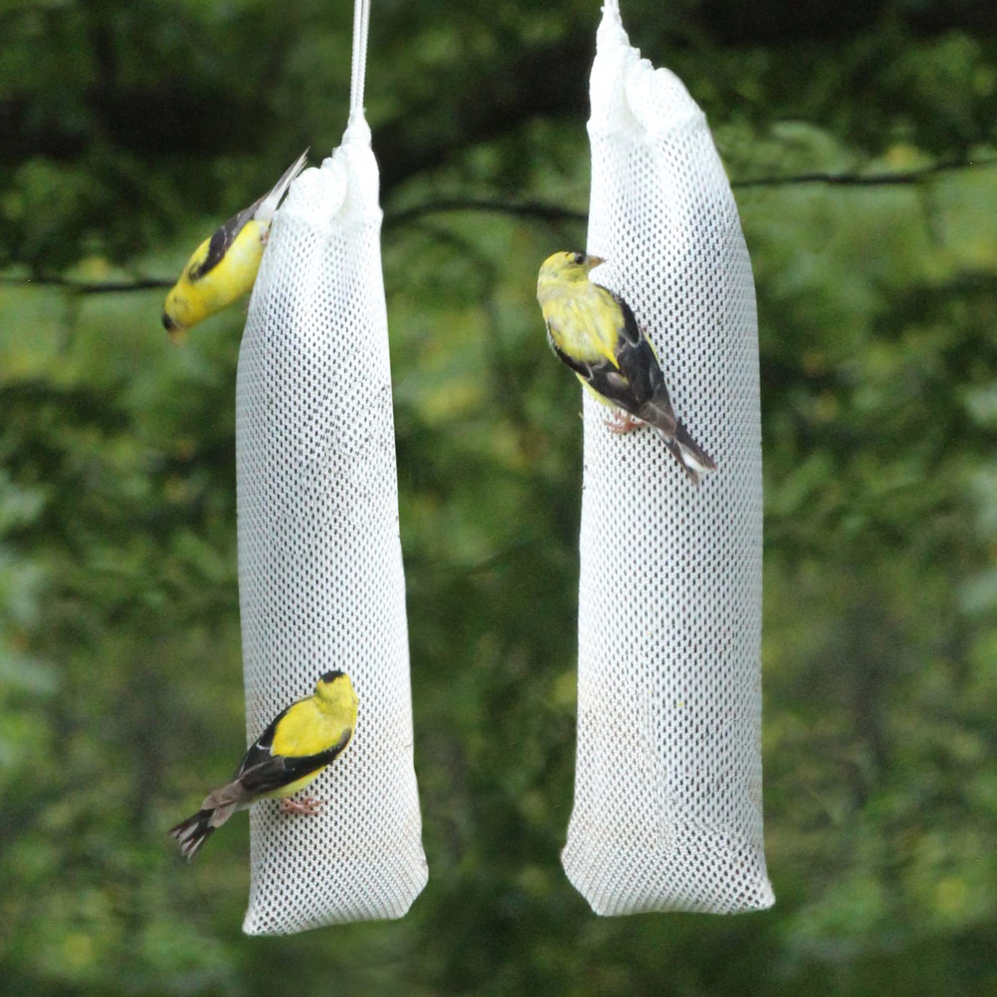 Happy Wings drawstring-secured sock keeps seed secure for birds.