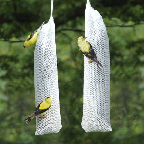Happy Wings drawstring-secured sock keeps seed secure for birds.