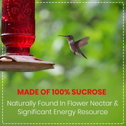 Happy Wings no-boil formula saves time for busy backyard hummingbirds
