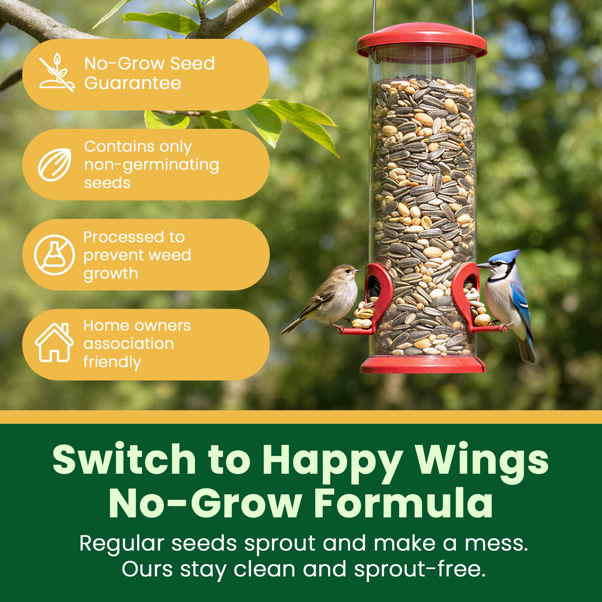 Happy Wings No Grow seed 5lb outdoors at feeders attracts diverse backyard birds.