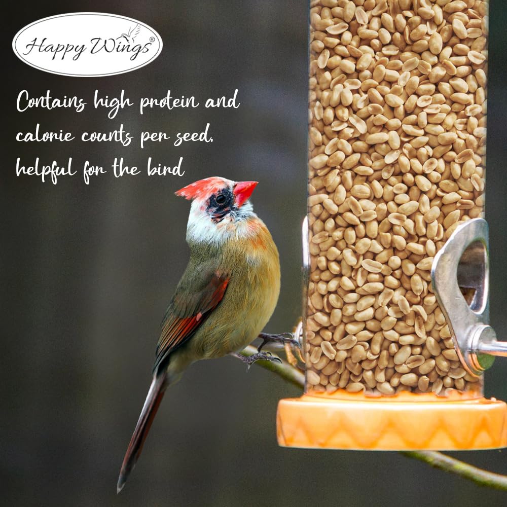 Happy Wings no shell peanuts in a clean feeding area without shell waste