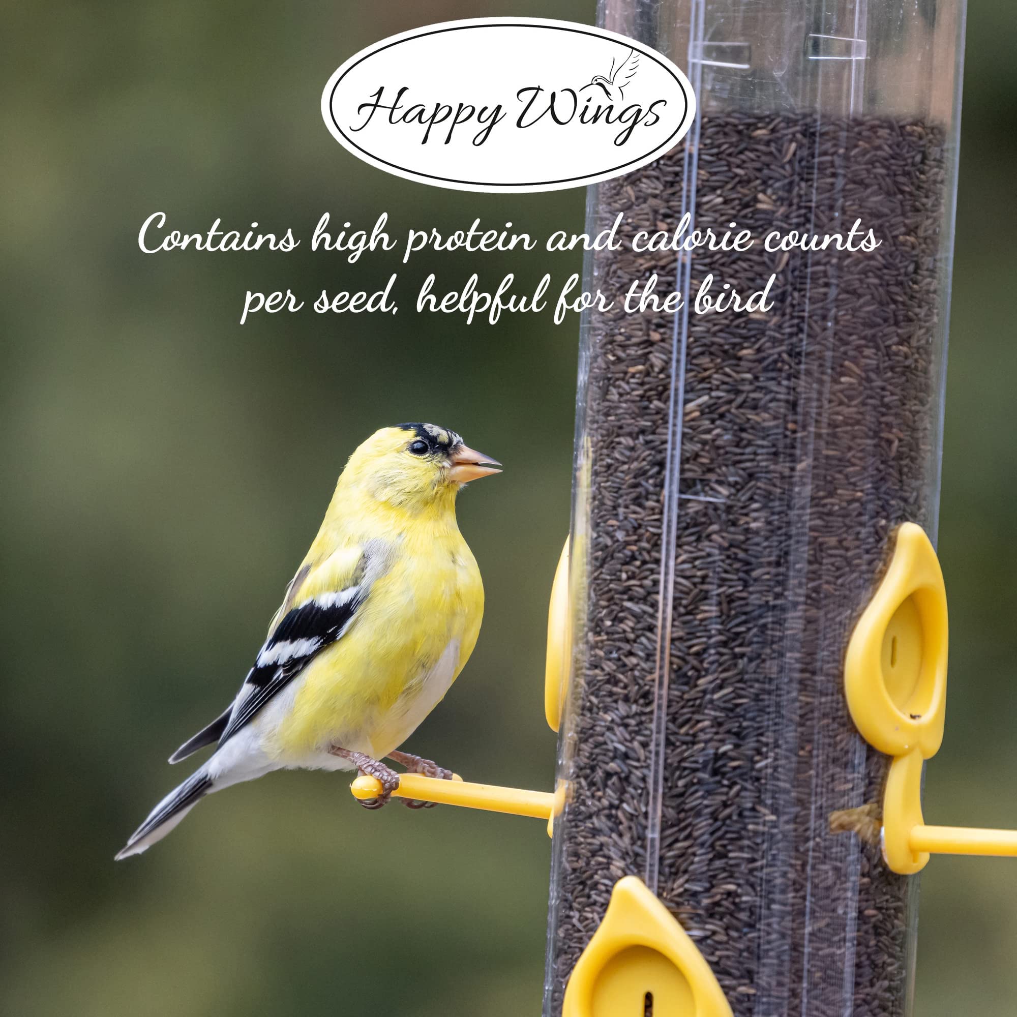 Happy Wings Nyjer seeds included in back-up sock for multiple feeding areas.
