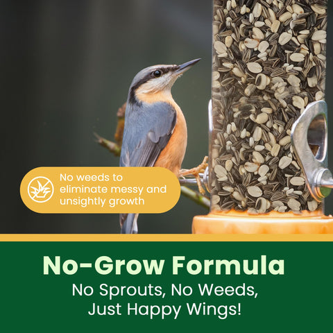 Happy Wings peanuts in seed mix provide protein for energetic backyard birds.
