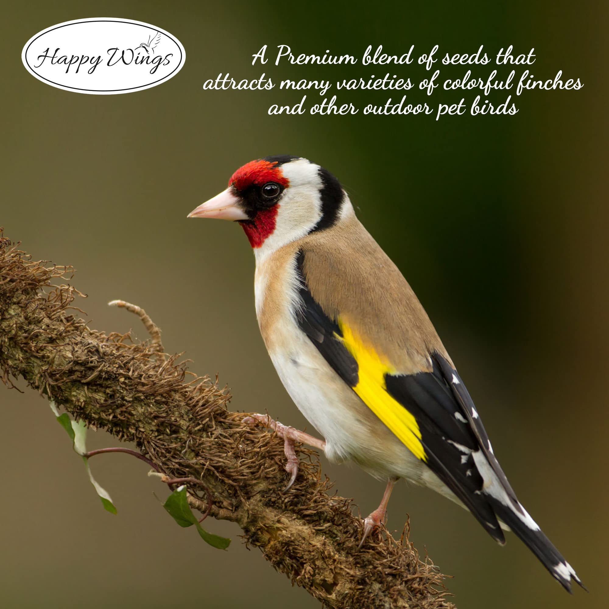 Happy Wings seeds meet Wild Bird Feeding Institute quality standards