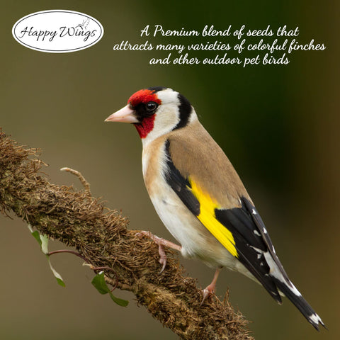 Happy Wings seeds meet Wild Bird Feeding Institute quality standards