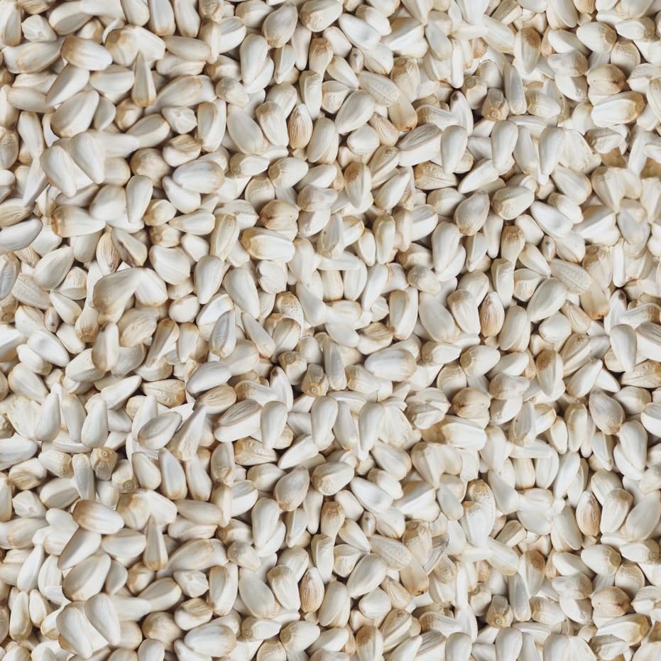 Happy Wings seed pour at feeder demonstrates easy, mess-free refills for busy days