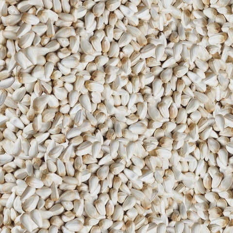 Happy Wings seed pour at feeder demonstrates easy, mess-free refills for busy days