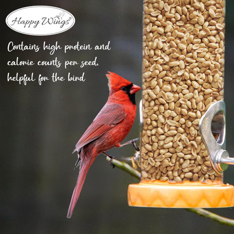Happy Wings shelled peanuts ready-to-use for backyard feeders