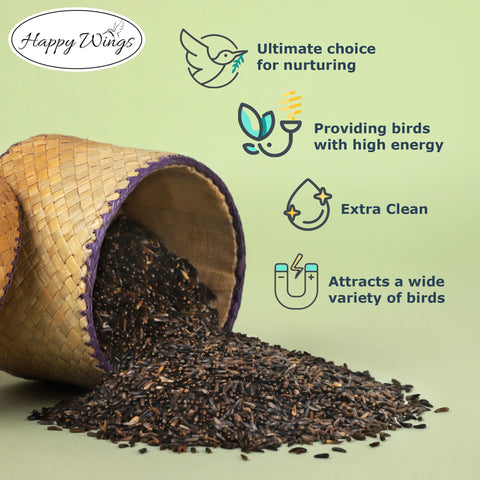 Sock feeder with Happy Wings Nyjer seeds for mess-free feeding