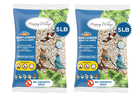 Happy Wings sunflower kernels close-up, nutritious fuel for many garden birds.