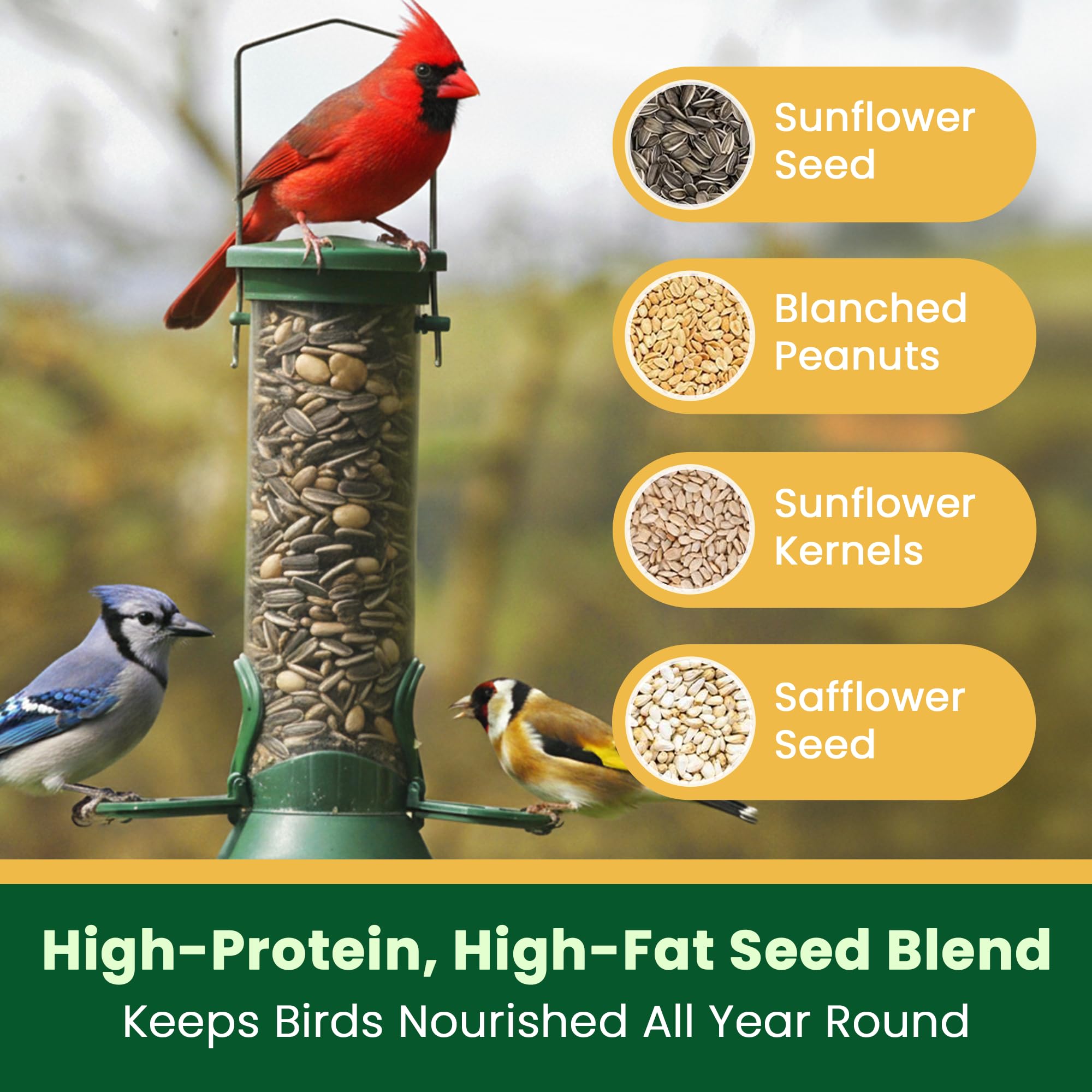 Happy Wings sunflower safflower peanuts blend attracts finches and other small songbirds.