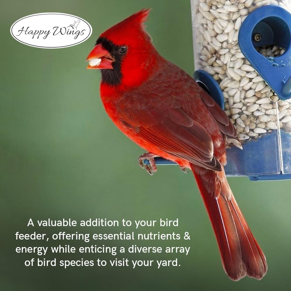 Happy Wings year-round bird feeding supports birds through many seasons.