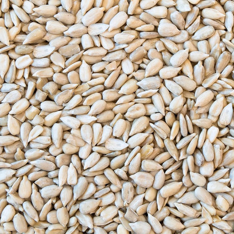 Happy Wings sunflower kernel detail emphasizes nutritious, energy-rich content for year-round bird visits.