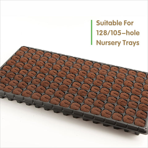 Hapxalie breathable cloning medium combines airflow with moisture retention for cuttings.
