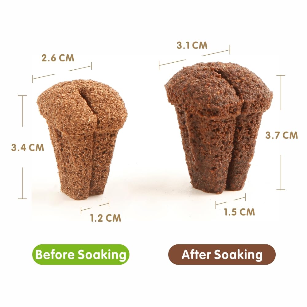 Hapxalie expandable cloning plug for 105-hole trays enables quick setup and strong rooting.