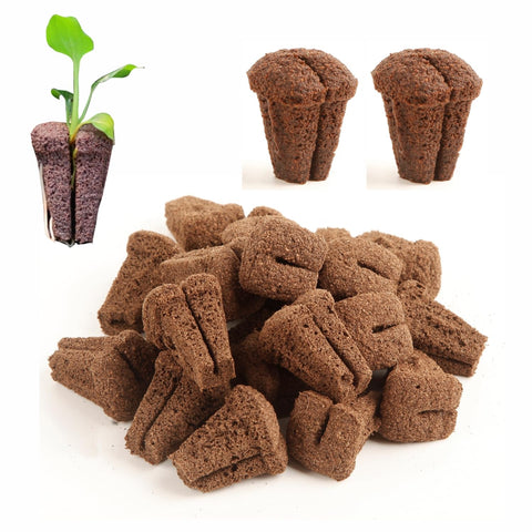 Hapxalie expandable cloning plug for 128-hole trays supports stable rooting.