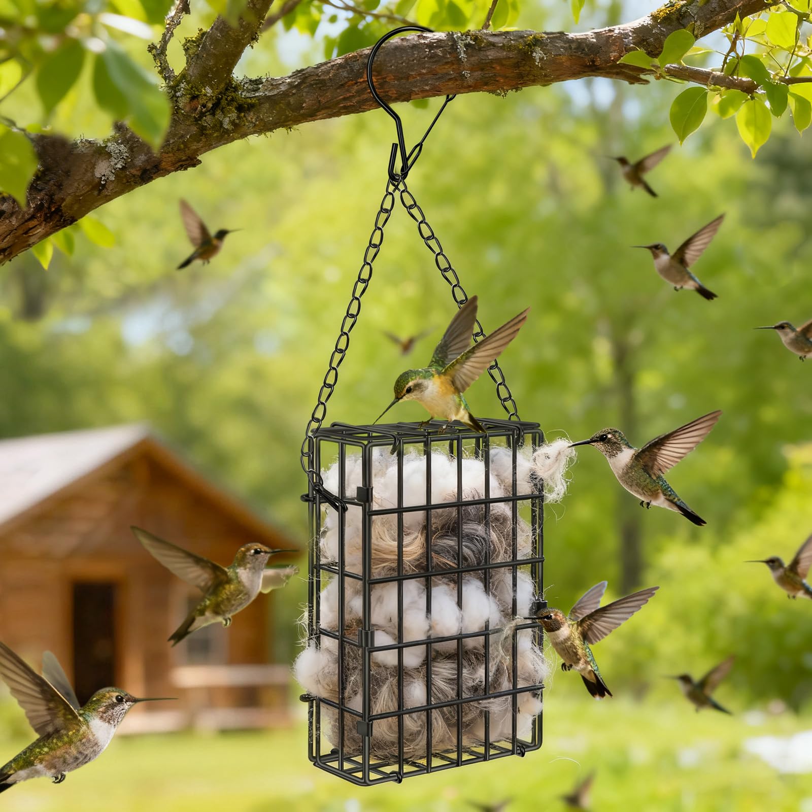 Harhana nest material holder bird perches—perches support safe material selection.