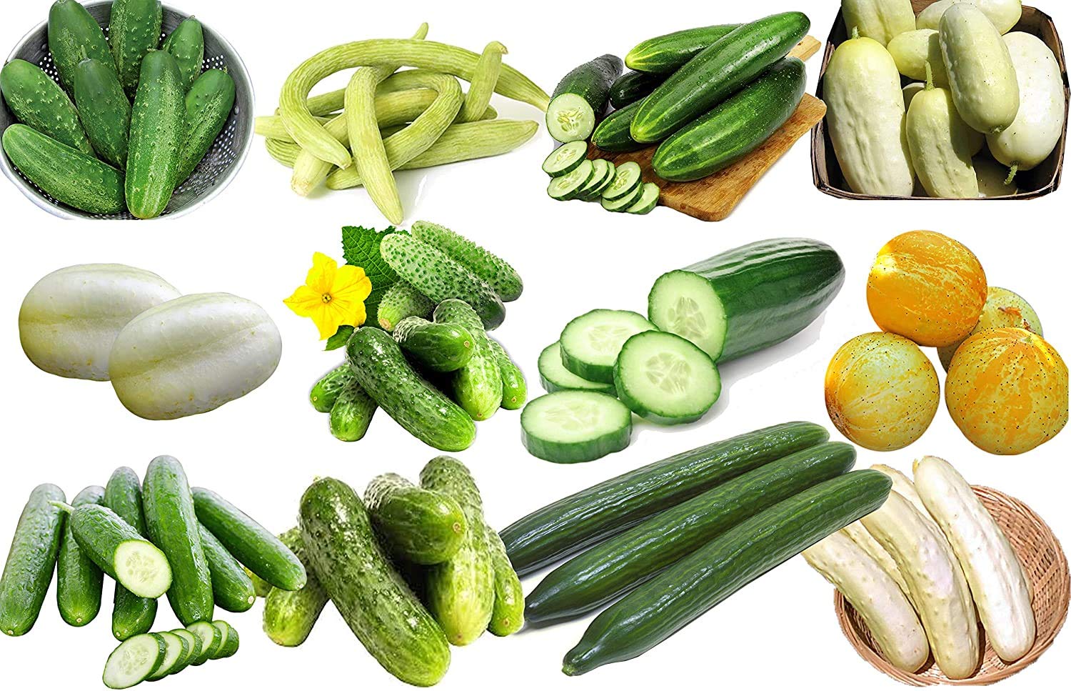 Harley Seeds 100 Cucumber Mix: diverse 12-variety display for fresh salads.