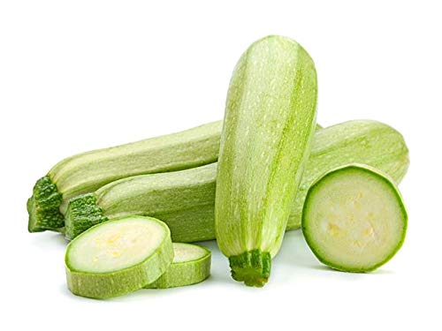 Harley Seeds Alberello of Sarzana zucchini compact habit ideal for small spaces.
