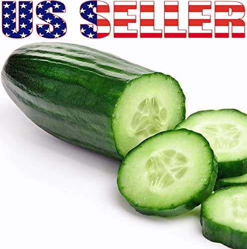 Harley Seeds Bianco Lungo Long White cucumber: slender, juicy choice for fresh meals.