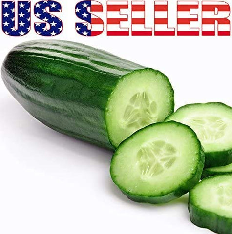 Harley Seeds Bianco Lungo Long White cucumber: slender, juicy choice for fresh meals.
