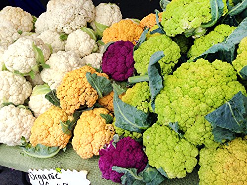 Harley Seeds Heirloom Non-GMO mix in one envelope for variety