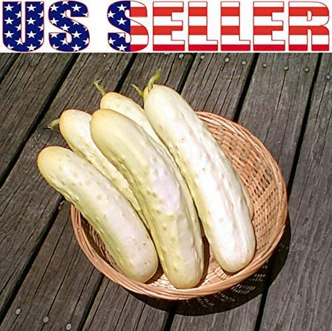 Harley Seeds Lemon cucumber: bright, juicy slices ideal for summer snacks.