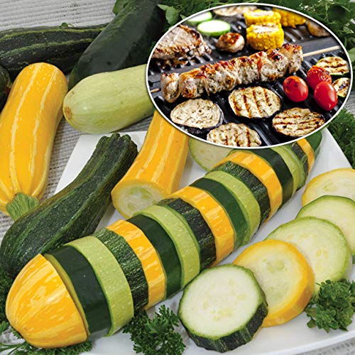 Harley Seeds Lungo Bianco di Sicilia zucchini variety for crisp slices and fresh gardens.