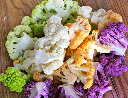 Harley Seeds Precoce di Jesi Cauliflower yellow snowball heads enrich garden color