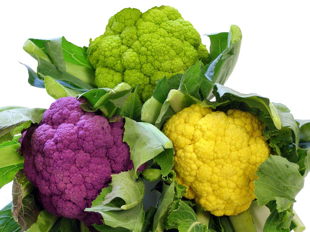Harley Seeds Verde di Macerata Cauliflower apple-green heads enhance salads