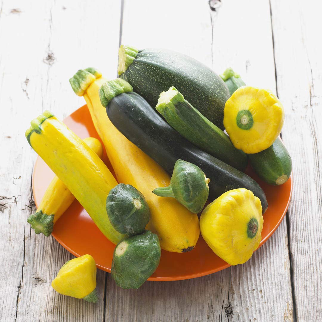Harley Seeds Genovese zucchini highlighting fragrant, herbaceous flavor for fresh dishes.