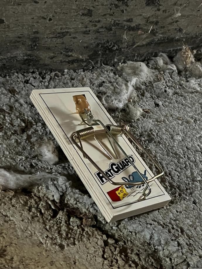 Harrier Hardware rat trap with wood base offers sturdy, reusable home pest control
