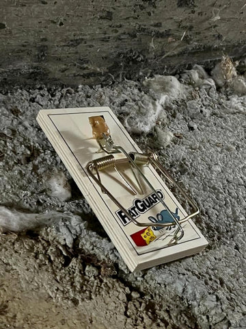 Harrier Hardware rat trap with wood base offers sturdy, reusable home pest control