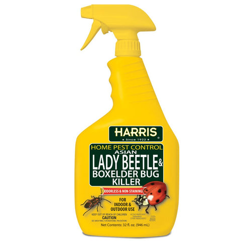 Harris Asian Lady Beetle Killer bottle shows extended residual action indoors