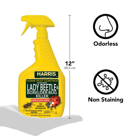 Harris spray mist demonstrates odorless application for stain-free use
