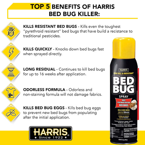 HARRIS Bed Bug Killer eggs closeup showing eggs for thorough control