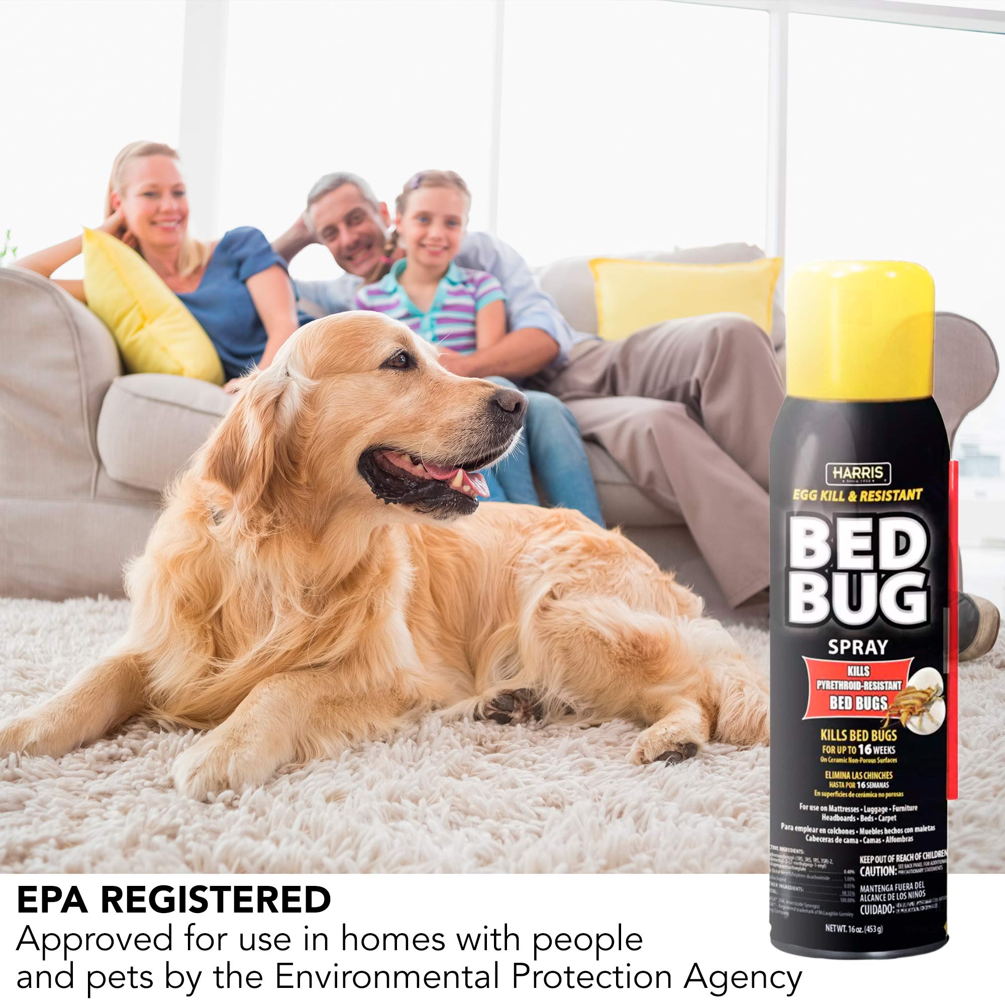 HARRIS Bed Bug Killer mattress application scenario