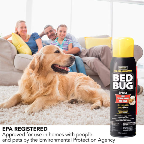 HARRIS Bed Bug Killer mattress application scenario