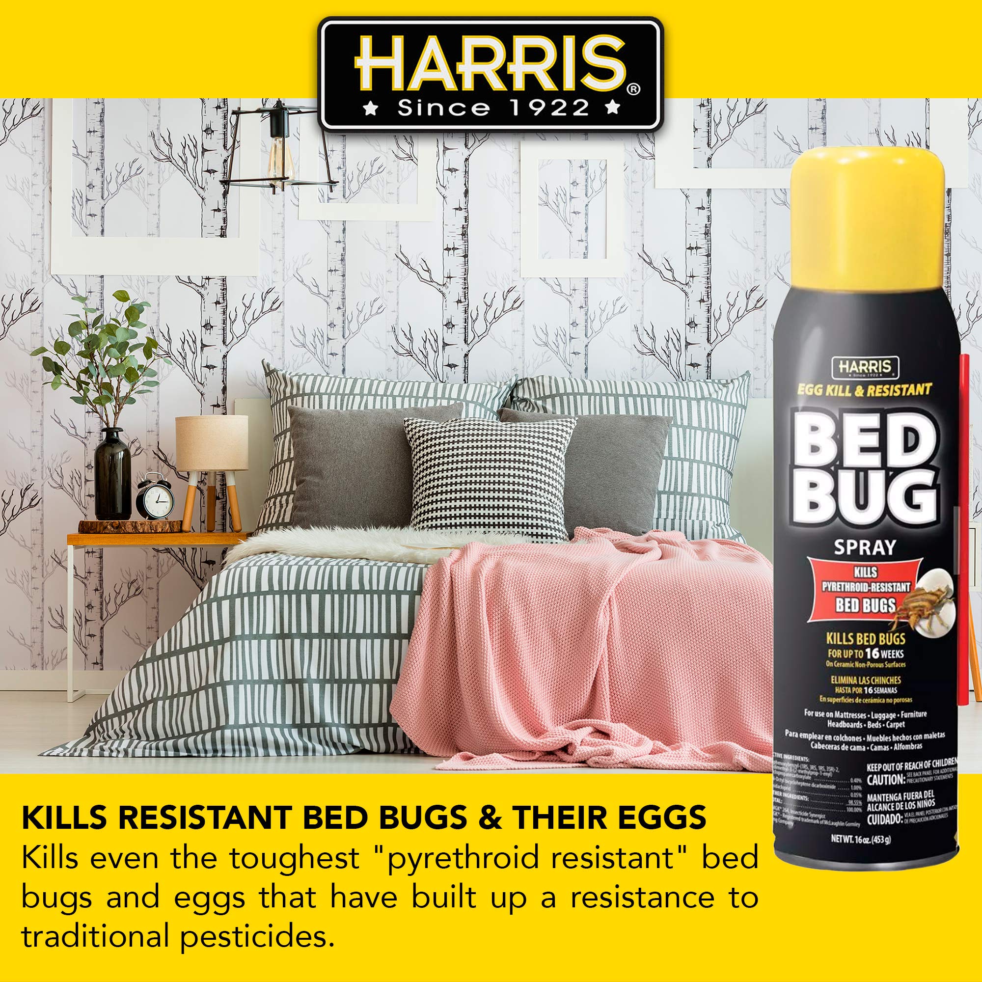 HARRIS Bed Bug Killer spray applying directly for fast knockdown