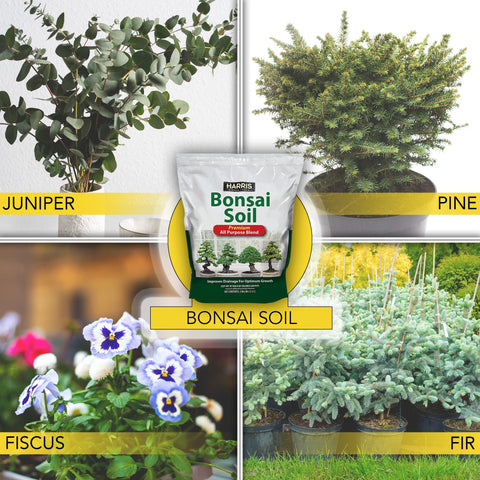 HARRIS Bonsai Soil contains calcined clay and pumice for better aeration