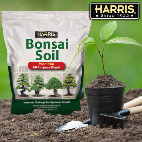 HARRIS Bonsai Soil made in the USA ensures consistent quality