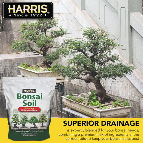 HARRIS Bonsai Soil includes organic amendments for steady nutrient availability