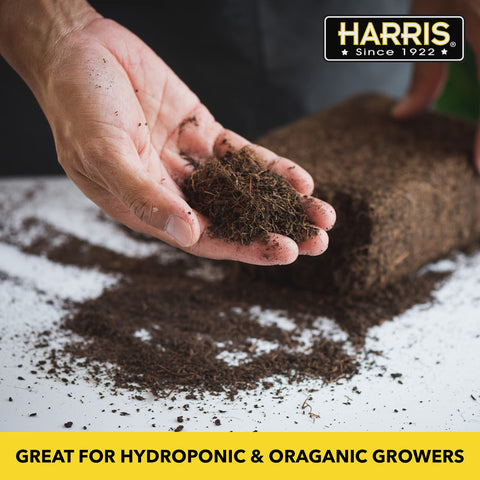 Harris Coco Coir Pith shows strong moisture absorption for plant hydration