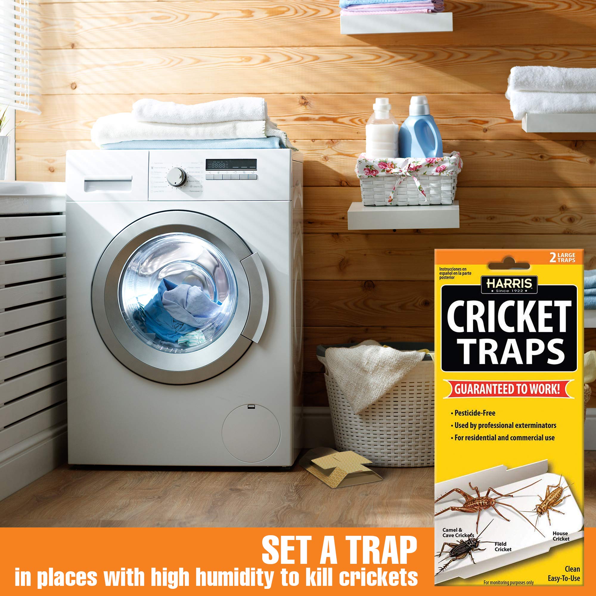 HARRIS Cricket Glue Traps versatile for homes and businesses