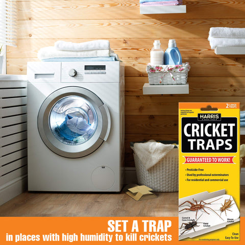 HARRIS Cricket Glue Traps versatile for homes and businesses
