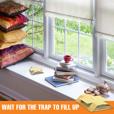 HARRIS Cricket Glue Traps two large traps in a single package